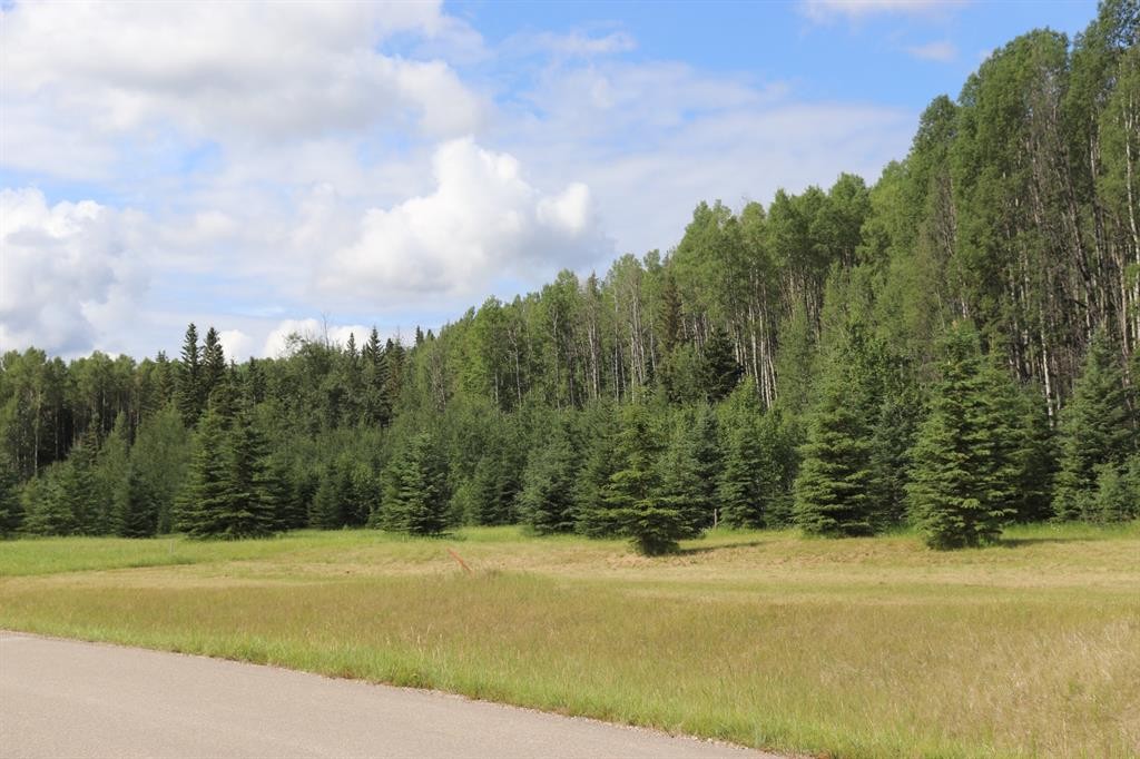 24-165111 Township Road 532A Subdivision, Rural Yellowhead County, AB
