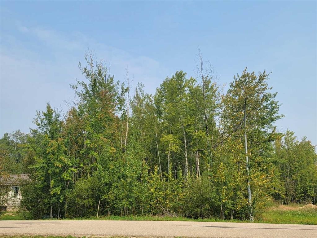 5404 Spruce Avenue, Wandering River, AB