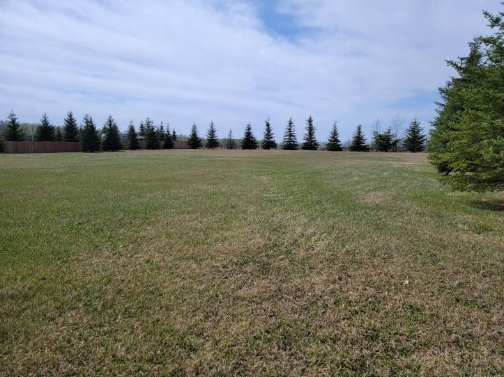 Lot 4 Tower Road, Athabasca, AB