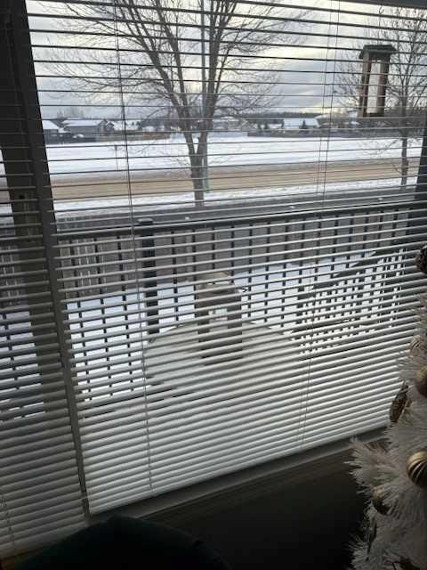 8 Anderson Close, Whitecourt, AB -