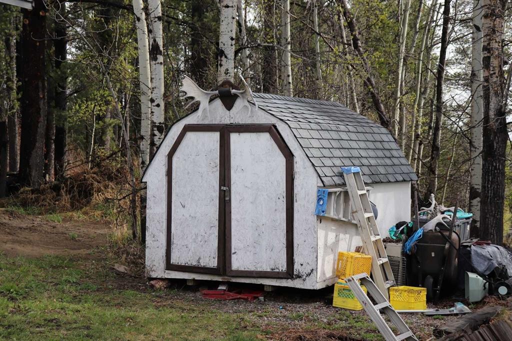 5001 51 Street, Robb, AB - Outdoor