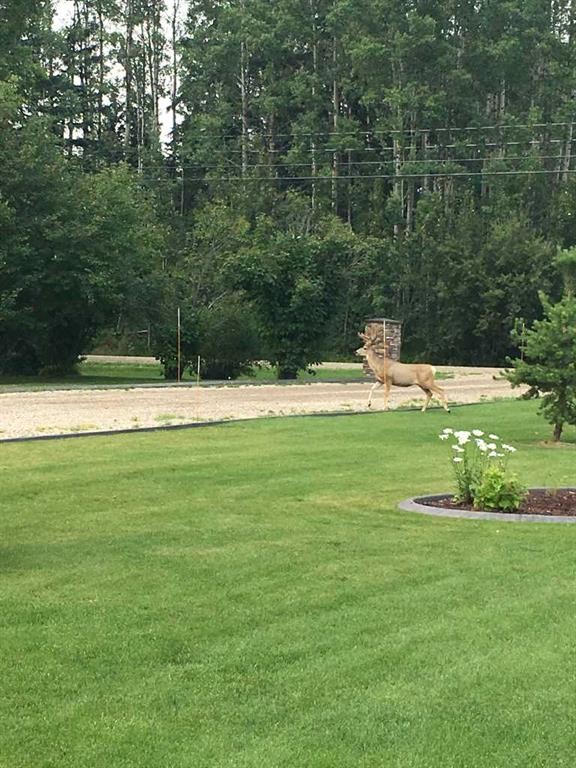 6663 15 Avenue, Edson, AB - Outdoor