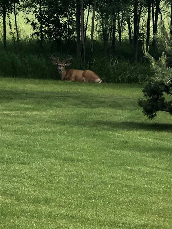 6663 15 Avenue, Edson, AB - Outdoor