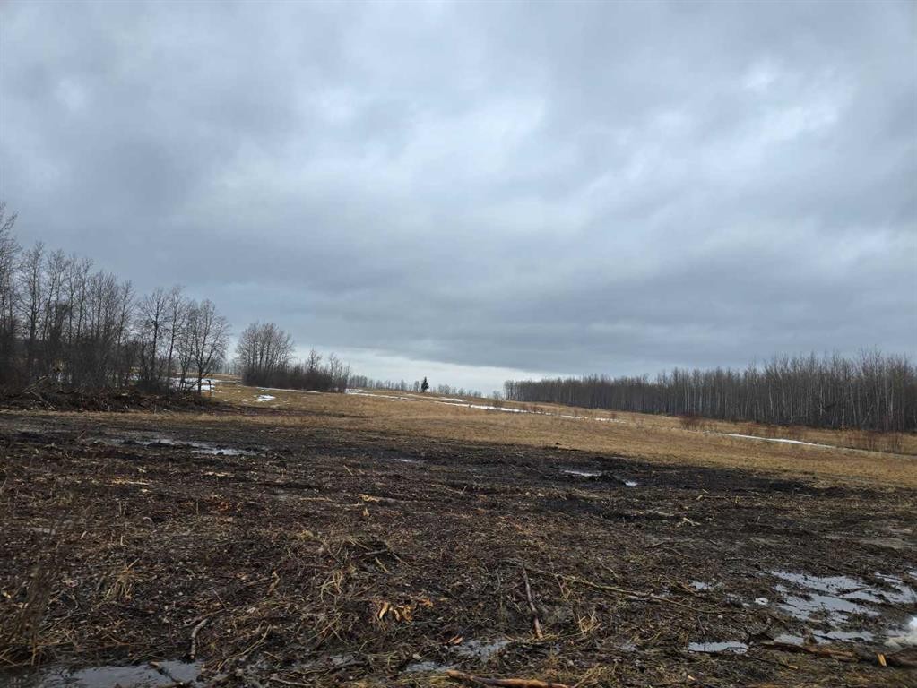 6205 Highway 616, Buck Creek, AB - Outdoor With View