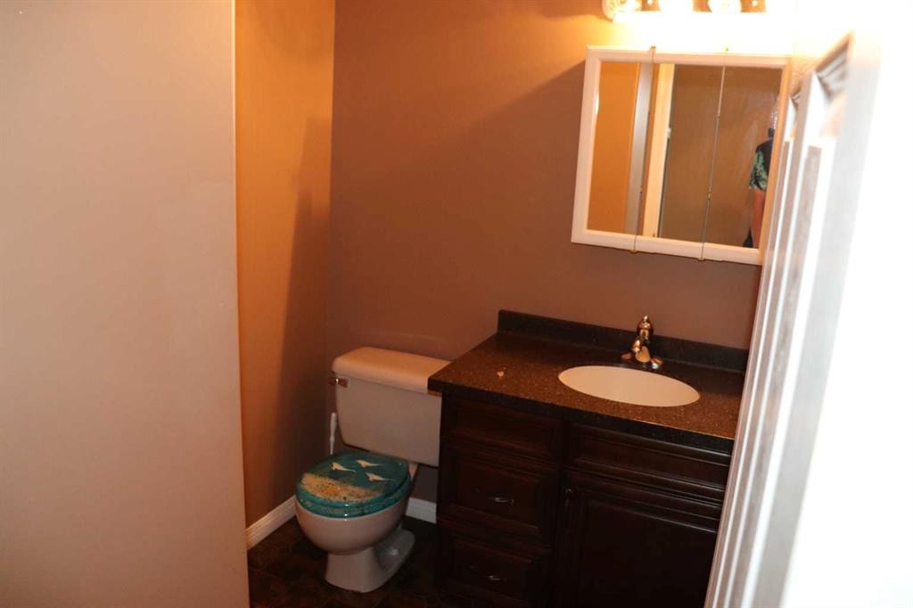 53203A Range Road 183, Rural Yellowhead County, AB - Indoor Photo Showing Bathroom