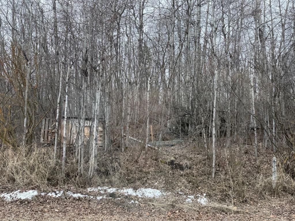 Lot 6 Baptiste Drive, West Baptiste, AB