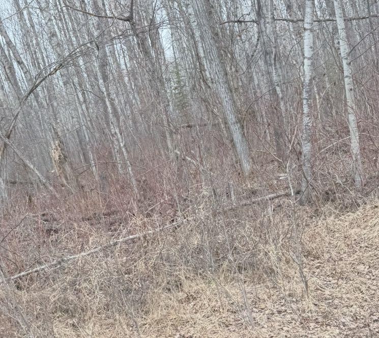 Lot 6 Baptiste Drive, West Baptiste, AB