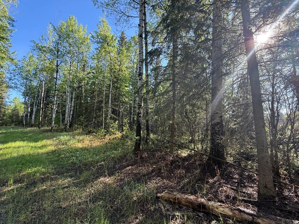 Township Road 640, Perryvale, AB