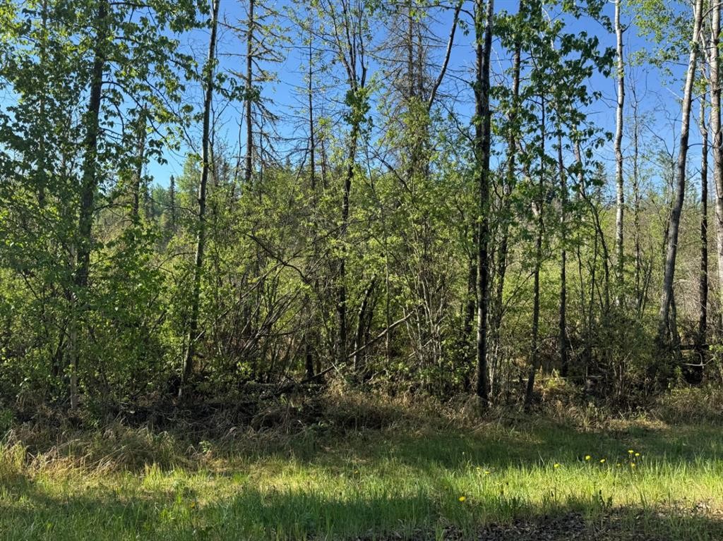 Township Road 640, Perryvale, AB