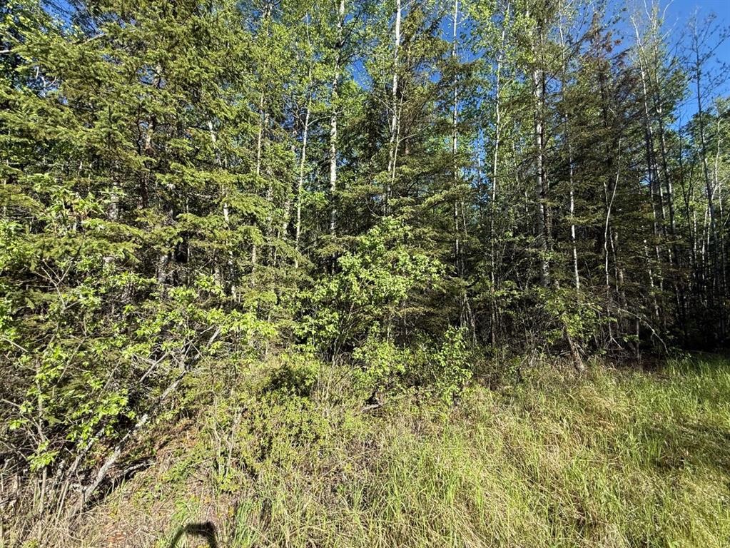 Township Road 640, Perryvale, AB