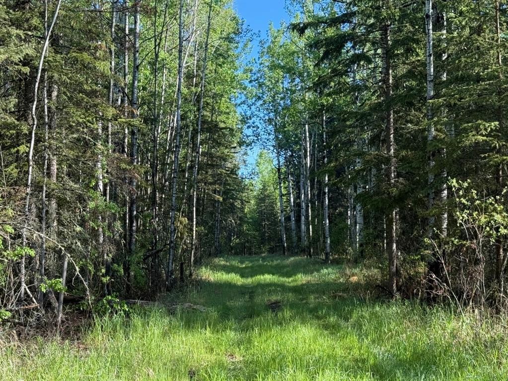 Township Road 640, Perryvale, AB
