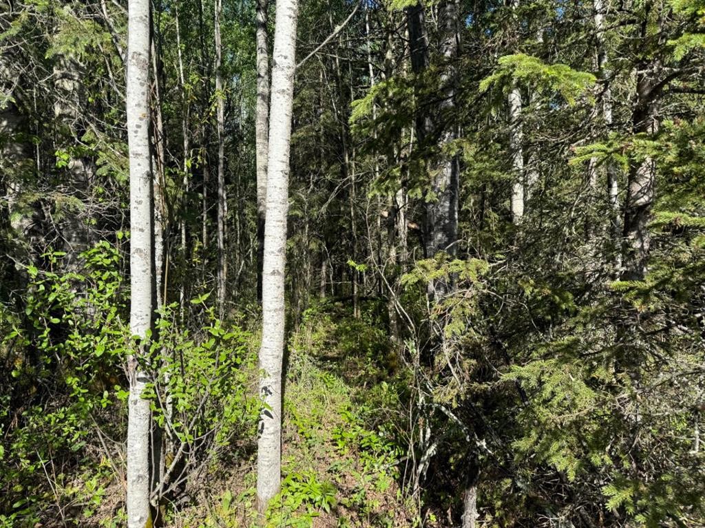 Township Road 640, Perryvale, AB