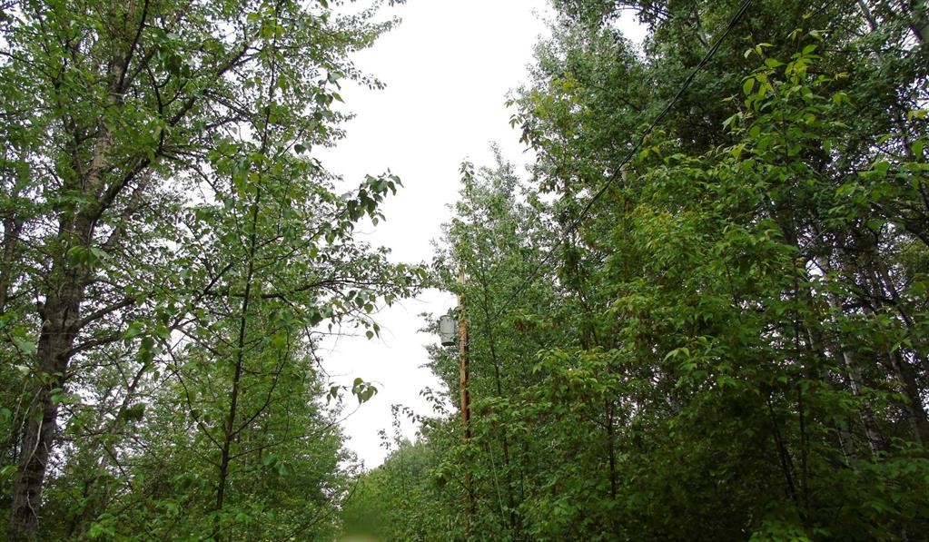 Township Road 731A, Rural Big Lakes County, AB