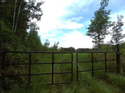 Township Road 731A Rural Big Lakes County, AB T0G 1K0