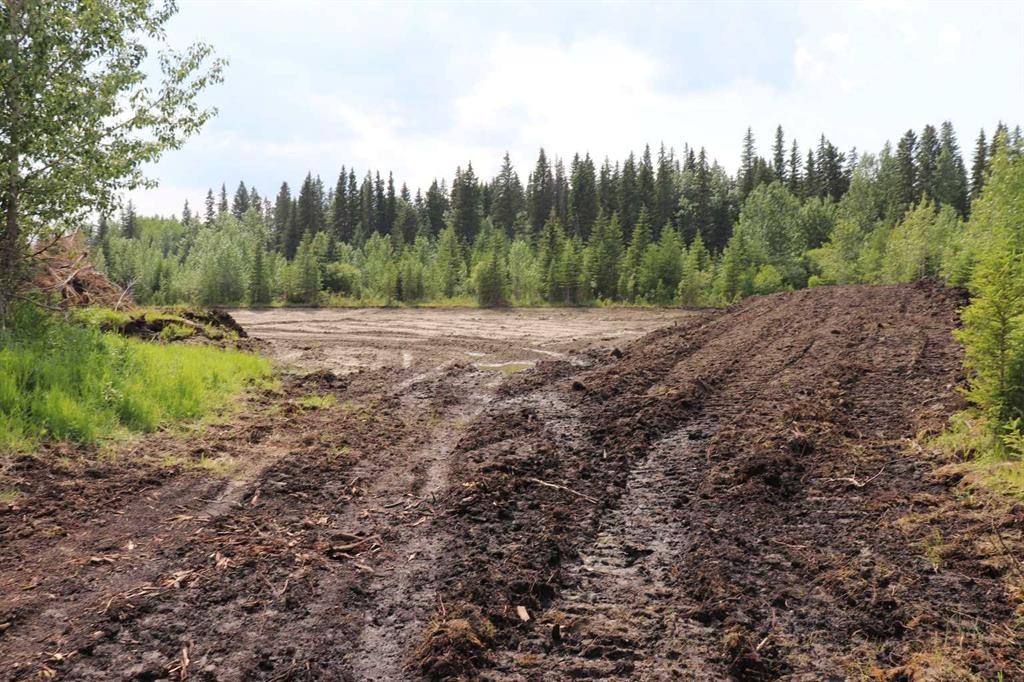 53428 A Range Road 170, Edson, AB