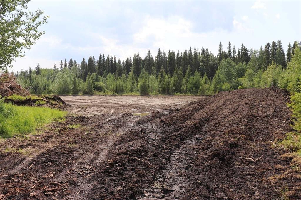 53428 A Range Road 170, Edson, AB