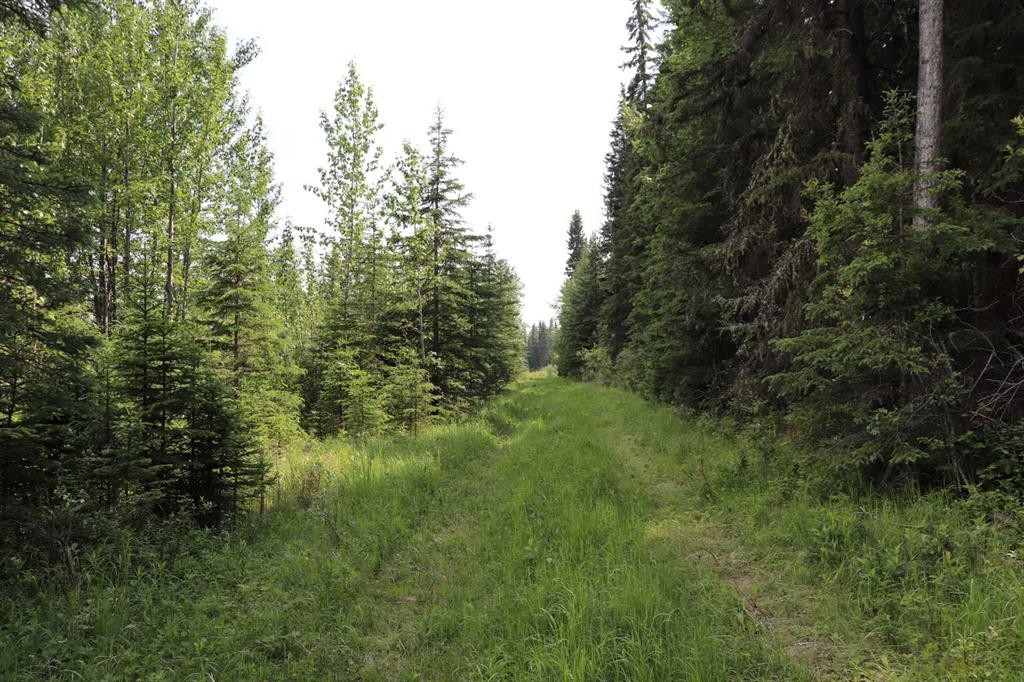 53428 A Range Road 170, Edson, AB