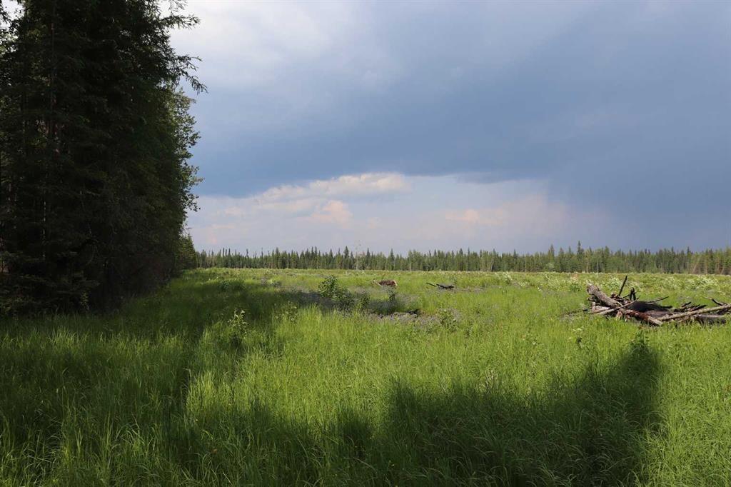 53428 A Range Road 170, Edson, AB