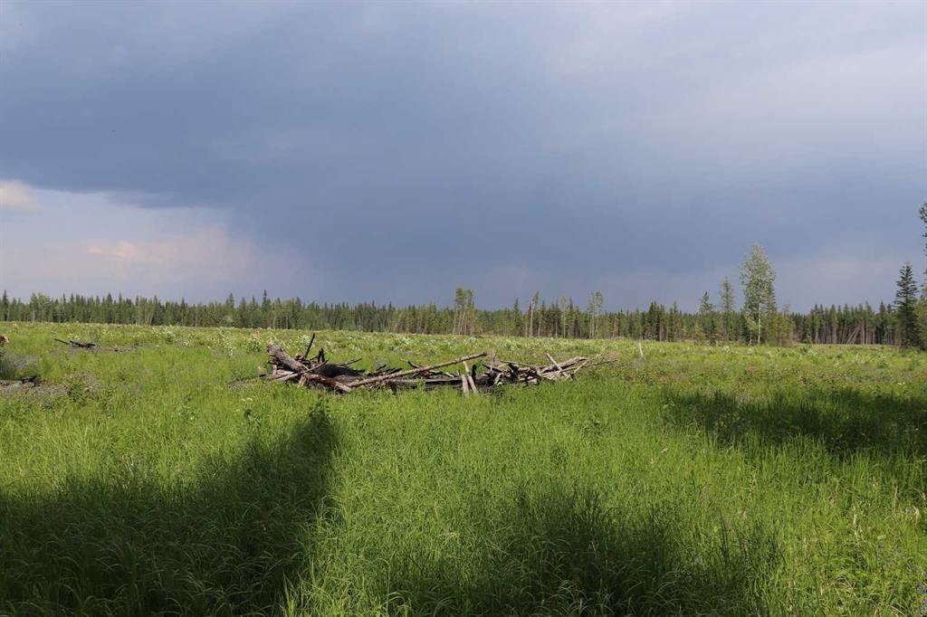 53428 A Range Road 170, Edson, AB