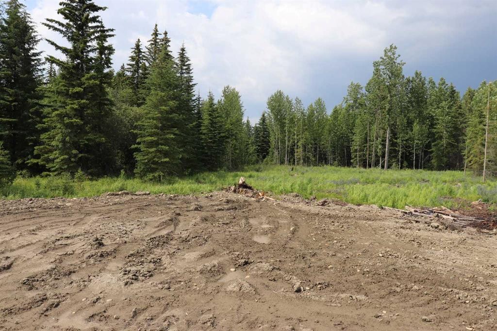 53428 A Range Road 170, Edson, AB