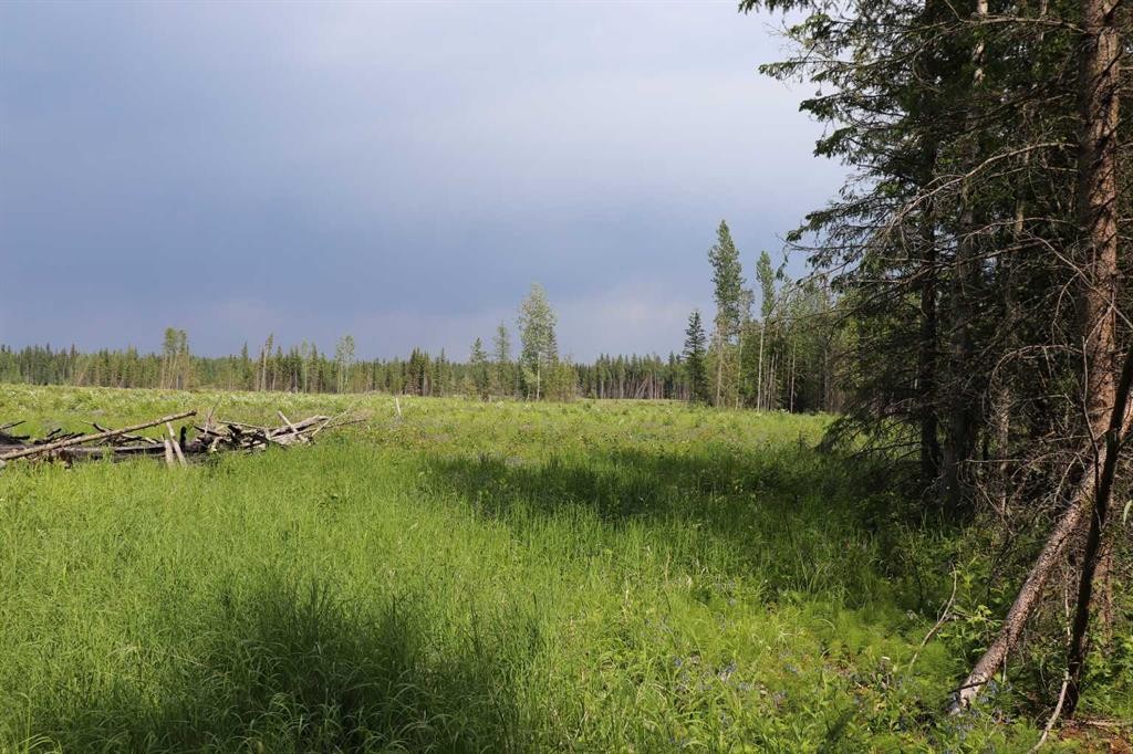 53428 A Range Road 170, Edson, AB