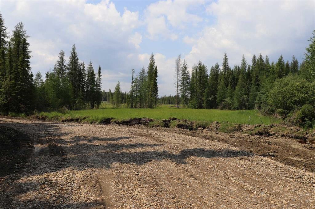 53428 A Range Road 170, Edson, AB