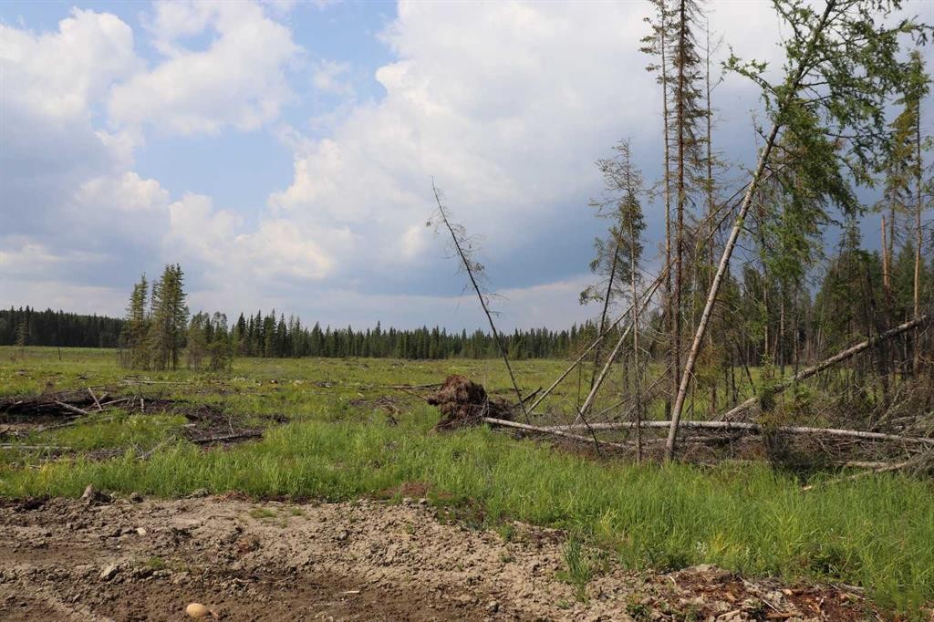 53428 A Range Road 170, Edson, AB