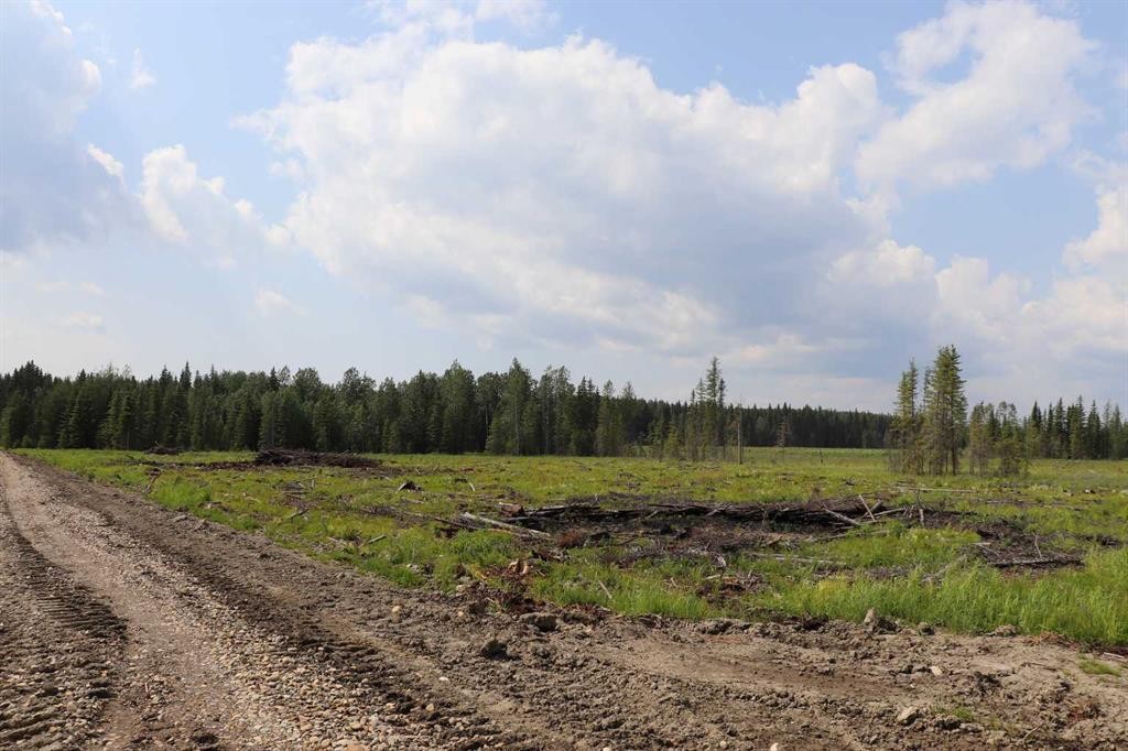 53428 A Range Road 170, Edson, AB