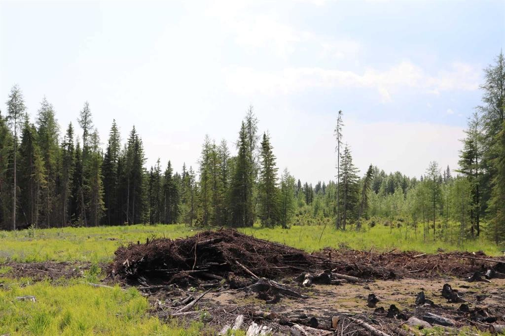 53428 A Range Road 170, Edson, AB