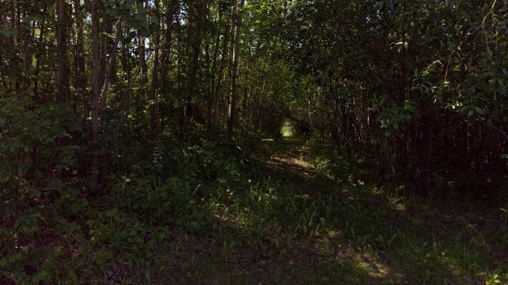 Westview Drive, Athabasca, AB