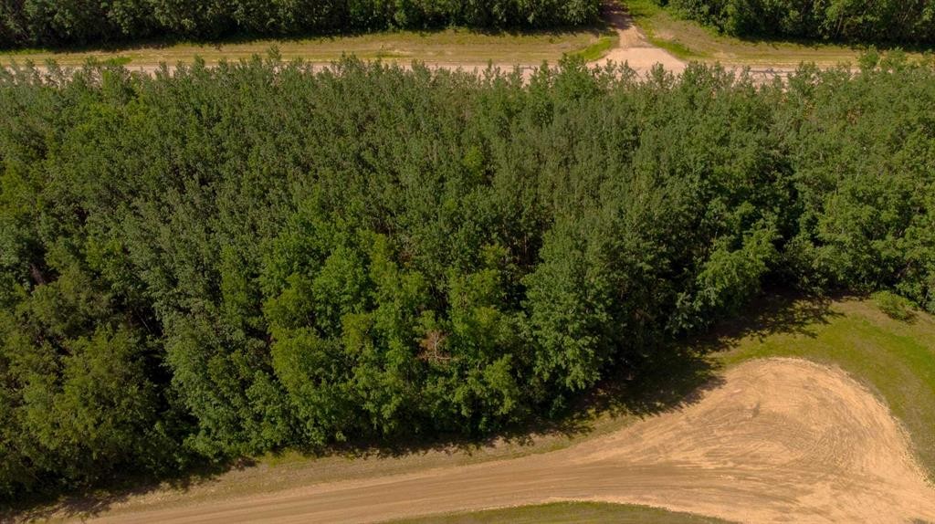 Westview Drive, Athabasca, AB