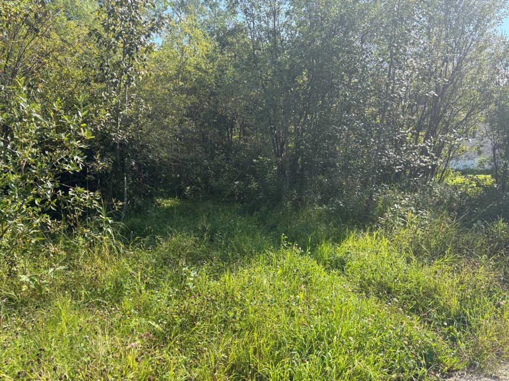 2607 Saskatoon Lane, Wabasca, AB