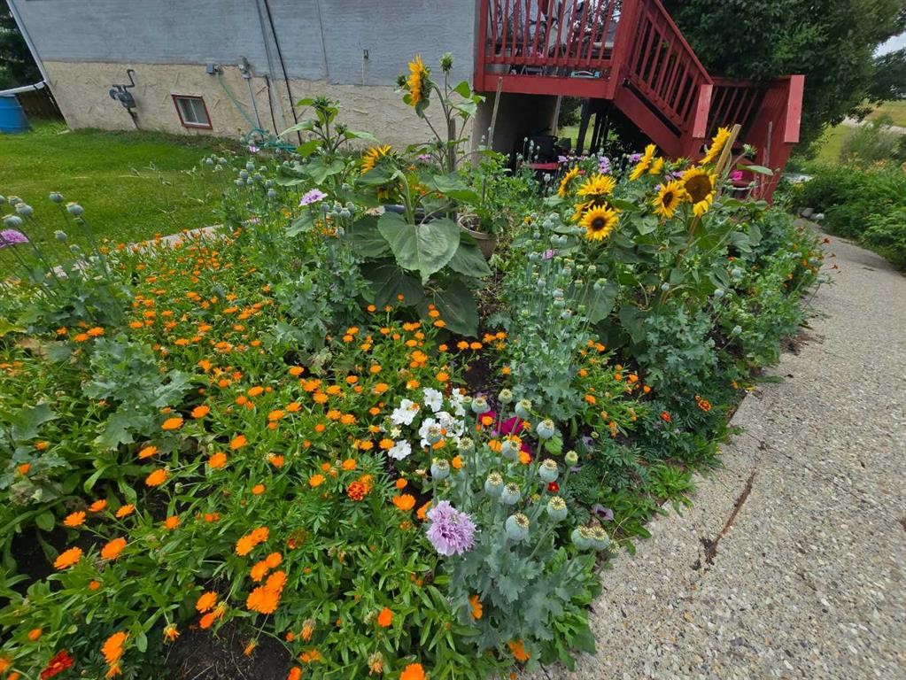 109 Main Street,-57115 Range Road 80, Rochfort Bridge, AB - Outdoor