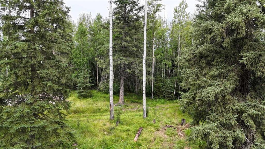 10-16511 Township Road 532A, Rural Yellowhead County, AB