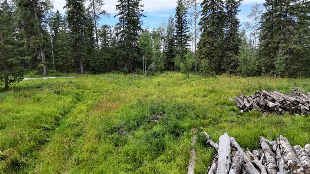10-16511 Township Road 532A, Rural Yellowhead County, AB