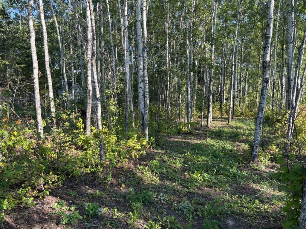 #226-660022 - Range Road 225.5 (Unit 35), Athabasca, AB