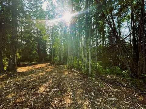 931 Wolf Trail, Sandy Lake, AB