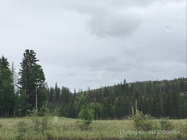 126 Felaber Road, Hinton, AB