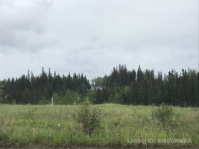 126 Felaber Road, Hinton, AB