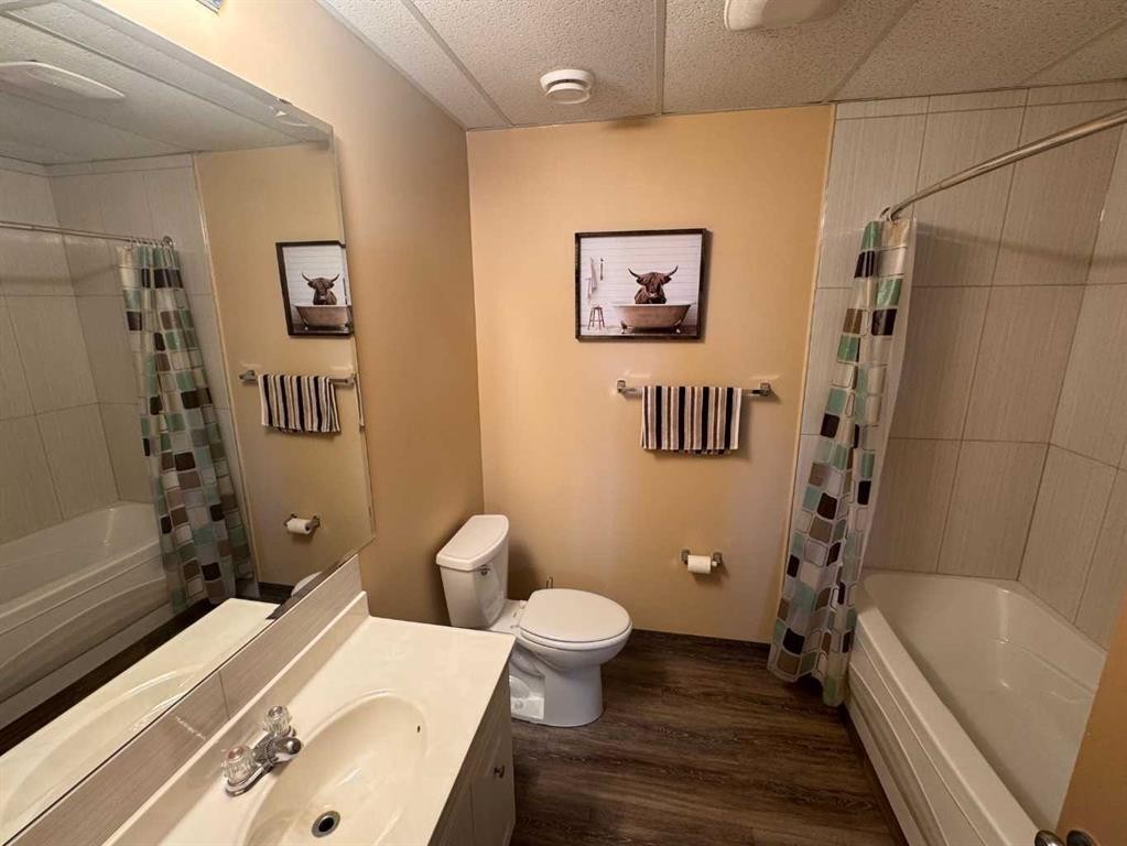 220 Lakeshore Drive North, Island Lake, AB - Indoor Photo Showing Bathroom