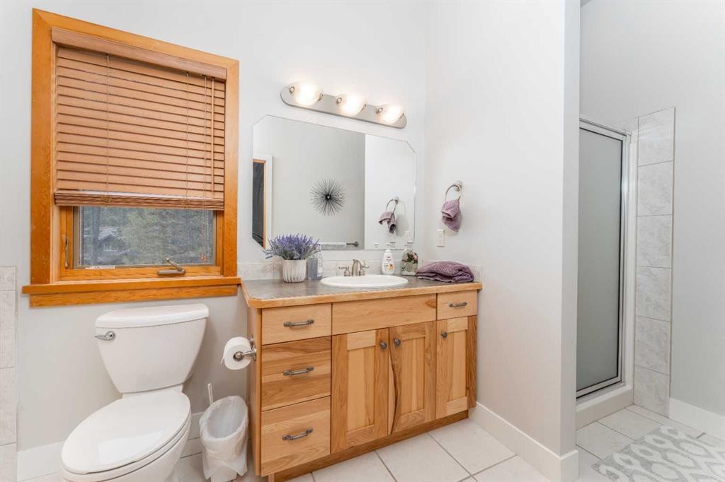 2-300 Eagle Terrace Road, Canmore, AB - Indoor Photo Showing Bathroom