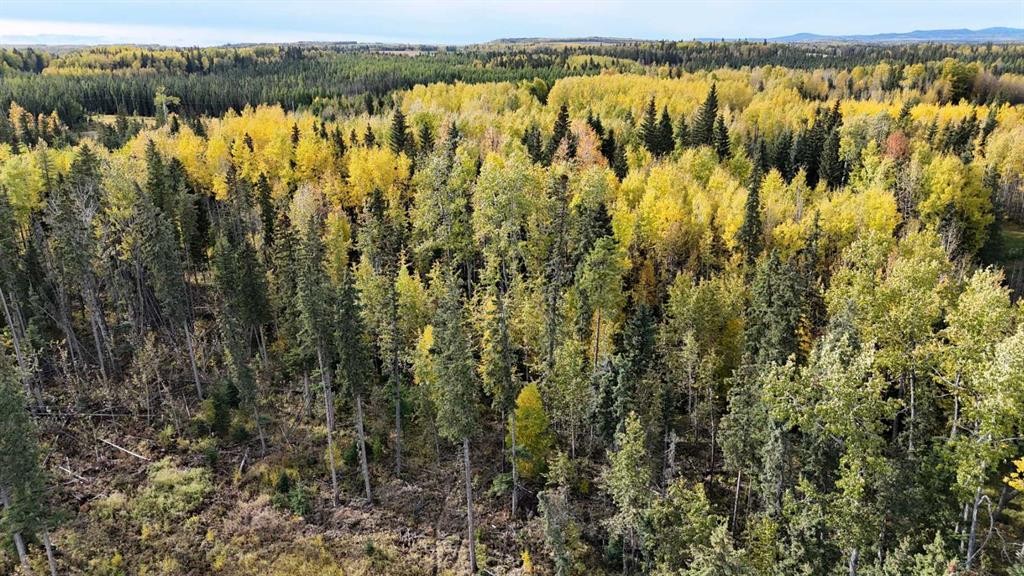 16322B Township Road 544, Rural Yellowhead County, AB