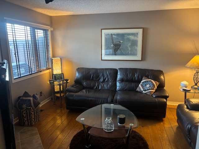 37-1199 Cabin Creek Drive, Jasper, AB - Indoor Photo Showing Living Room