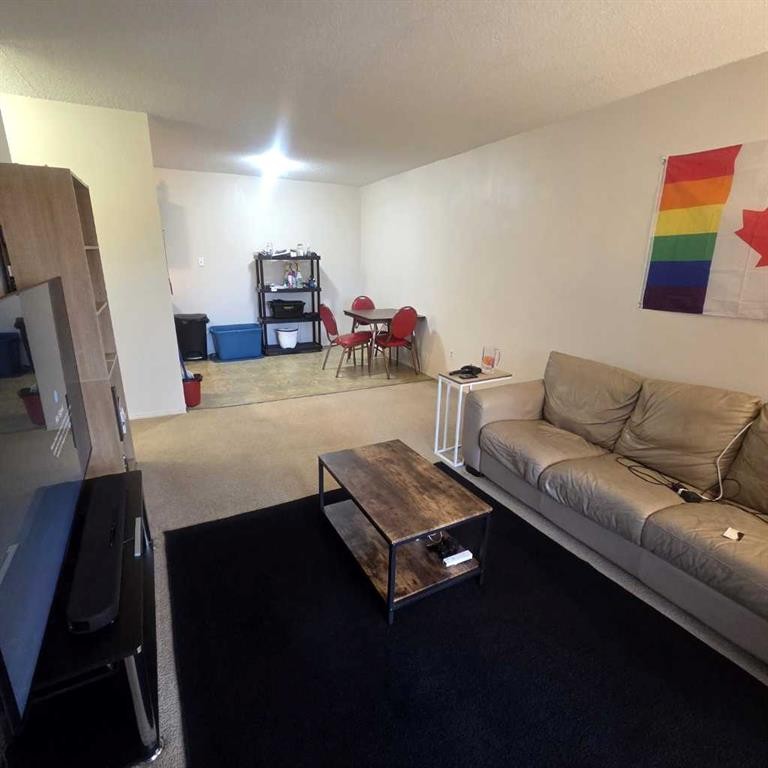 304B-5611 9 Avenue, Edson, AB - Indoor Photo Showing Living Room