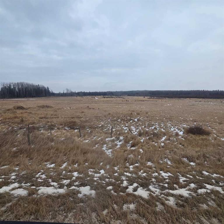 Lot 3 Range Road 175, Rural Yellowhead County, AB