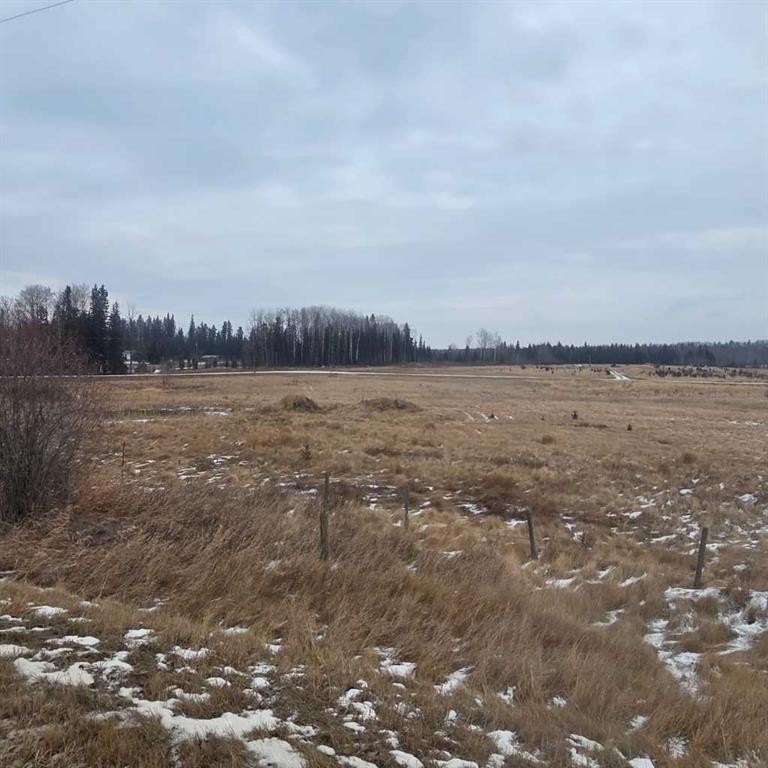 Lot 4 Range Road 175, Rural Yellowhead County, AB