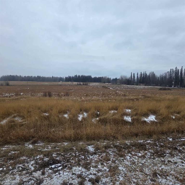 Lot 4 Range Road 175, Rural Yellowhead County, AB