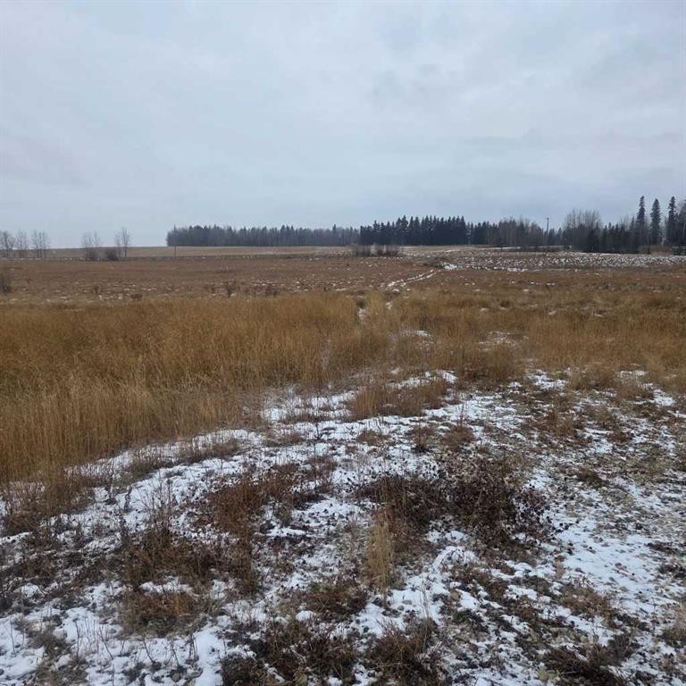 Lot 4 Range Road 175, Rural Yellowhead County, AB