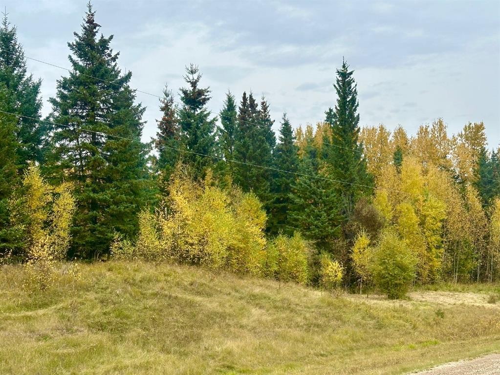 Lot 1 Mountain Springs, Rural Woodlands County, AB