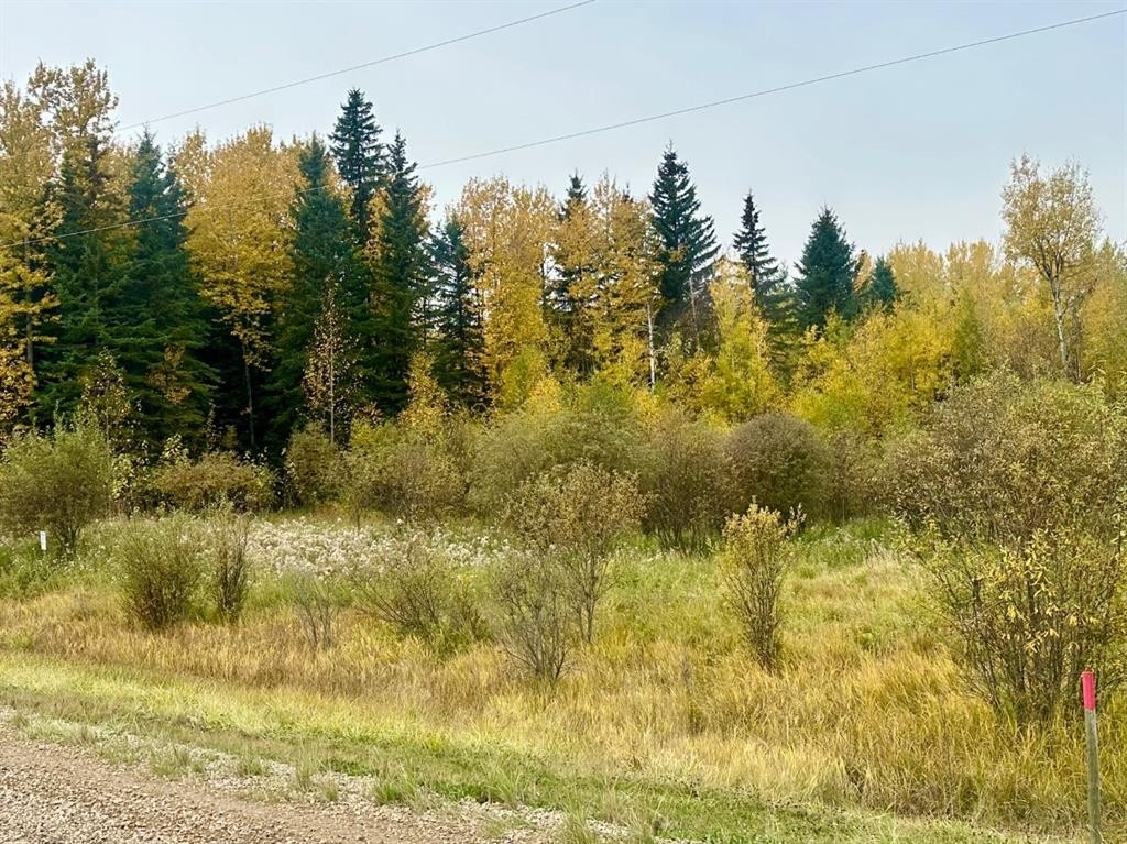Lot 1 Mountain Springs, Rural Woodlands County, AB